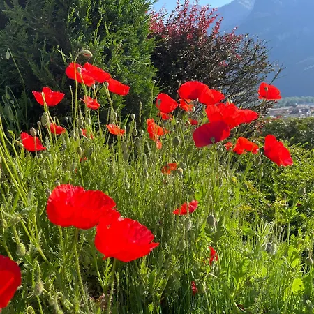Cosy Montain - La Pointe Aux Aravis